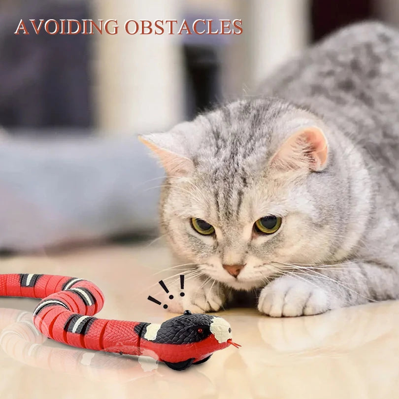 Interactive Cat Toy Car with Remote Control